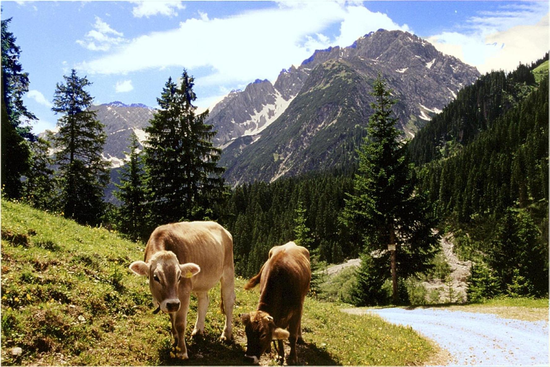 Gasthof Bergheimat Boden Bagian luar foto